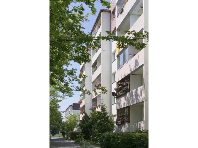 3-Raum-Wohnung inklusive Einzugsbonus - Foto 4