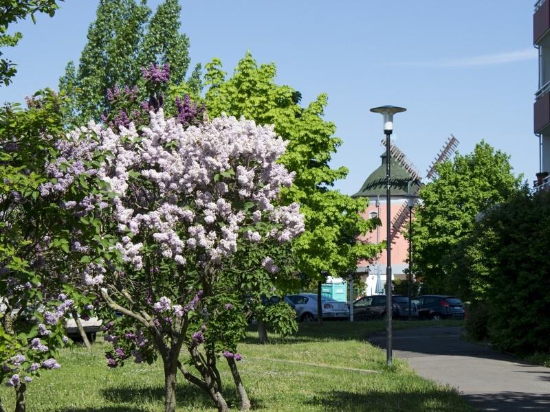 Siedlung Neuglück 20b - MorgensternEck - Foto 1