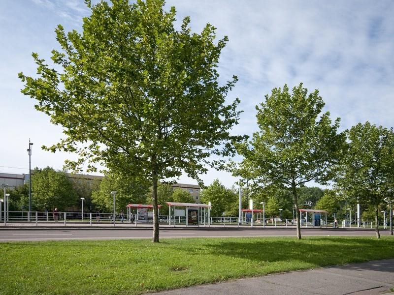 Rennbahnring 61 - An der Rennbahn - Foto 5